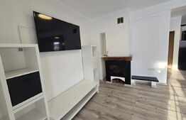 De inchiriat Casa individuala 3 camere, parcare, curte,  strazii Mihai Romanul