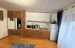 Garsonieră de lux, parter înalt, 28 mp, zona LIVADA POSTEI - 98.000 EUR