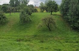 PENSIUNE IN Bran, SOHODOL, 700 mp utili, 3600mp teren, Doar 169999 EURO