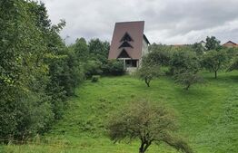 PENSIUNE IN Bran, SOHODOL, 700 mp utili, 3600mp teren, Doar 169999 EURO