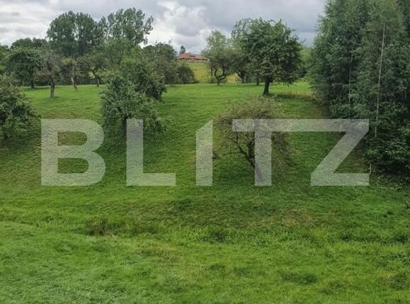 Spațiu comercial de vânzare Bran - 186189SVC | BLITZ Brașov | Poza6