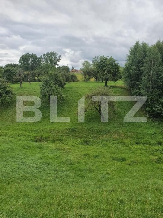 Spațiu comercial de vânzare Bran - 186189SVC | BLITZ Brașov | Poza6