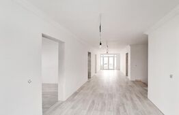 Casa Baciu, 290 mp utili, 500 mp teren