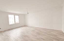 Casa Baciu, 290 mp utili, 500 mp teren