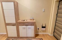 Apartament 2 camere, 70 mp, prima inchiriere, parcare, terasa, Borhanci