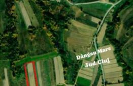 Teren extravilan 4265 mp, in Dangaul Mare - EXCLUSIVITATE
