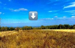 Teren extravilan 4265 mp, in Dangaul Mare - EXCLUSIVITATE