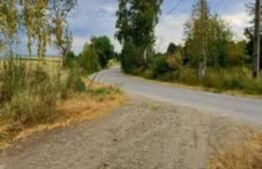 Teren extravilan 4265 mp, in Dangaul Mare - EXCLUSIVITATE