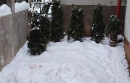 Casă de vânzare | Luna de Sus – curte, utilități complete, CF