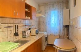 Garsonieră ideală pentru investiție, zona Bartolomeu