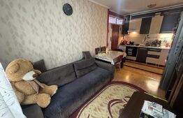 Apartament 2 camere,50 mp