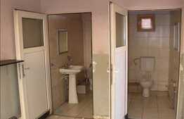 Casa demolabila/renovabila in Grigorescu, ideala activitate comerciala, 802 mp!