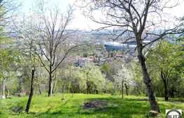 Casa cu priveliste  asupra Clujului si gradina mare!