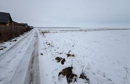 Teren de vânzare Hălchiu - 156625TV | BLITZ Brașov | Poza3