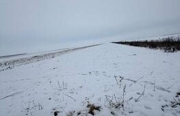 Teren de vanzare, 9000 mp, cartier Izvor - Tarlungeni - 105.000 euro