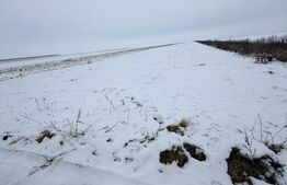 Teren de vanzare, 9000 mp, cartier Izvor - Tarlungeni - 105.000 euro