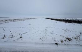 Teren de vanzare, 9000 mp, cartier Izvor - Tarlungeni - 105.000 euro