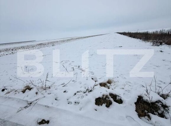 Teren de vânzare Florilor - 186343TV | BLITZ Brașov | Poza2