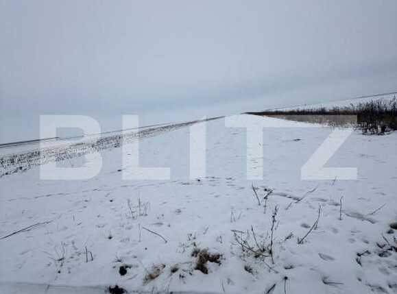 Teren de vânzare Florilor - 186343TV | BLITZ Brașov | Poza4