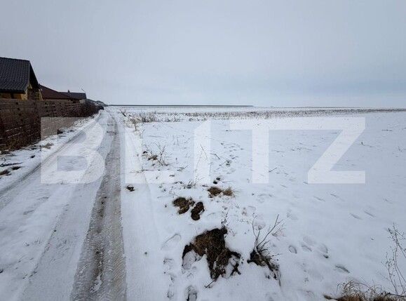 Teren de vânzare Florilor - 186343TV | BLITZ Brașov | Poza1