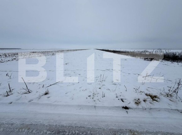 Teren de vânzare Florilor - 186343TV | BLITZ Brașov | Poza3