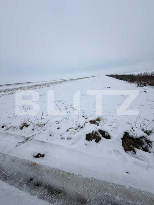 Teren de vânzare Tarlungeni - 186343TV | BLITZ Brașov | Poza2