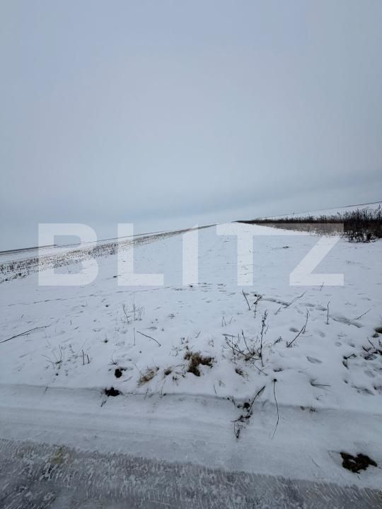 Teren de vânzare Florilor - 186343TV | BLITZ Brașov | Poza4