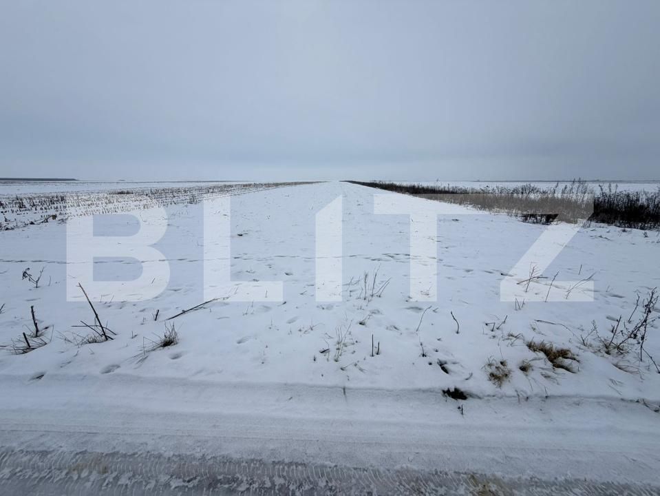 Teren de vânzare Florilor - 186343TV | BLITZ Brașov | Poza3