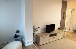 Apartament 2 camere, renovat, pentru locuit sau investitie