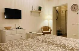 Garsoniera tip Studio, lux, 25 mp, Ultracentral