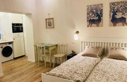 Garsoniera tip Studio, lux, 25 mp, Ultracentral