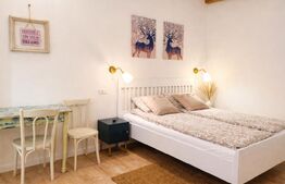 Garsoniera tip Studio, lux, 25 mp, Ultracentral