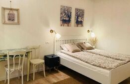 Garsoniera tip Studio, lux, 25 mp, Ultracentral