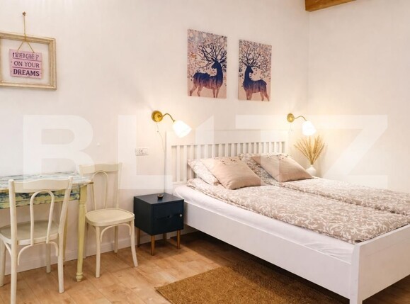 Garsonieră de închiriat Central - 186383AI | BLITZ Cluj-Napoca | Poza1