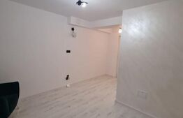 Oportunitate de investitie, 32.4 mp, zona Avram Iancu