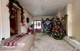 Casa alipita, renovata, cu gradina - zona Corneliu Coposu