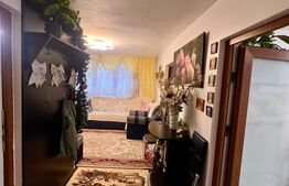 Casa alipita, renovata, cu mansarda  - zona Corneliu Coposu