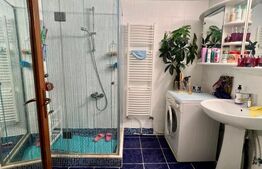 Casa alipita, renovata, cu mansarda  - zona Corneliu Coposu