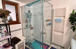 Casa alipita, renovata, cu mansarda  - zona Corneliu Coposu