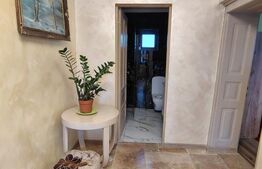 Proprietate cu 2 case, una fiind tradițională, Dezmir 