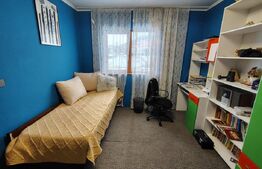 Proprietate cu 2 case, una fiind tradițională, Dezmir 