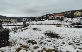 Proprietate cu 2 case, una fiind tradițională, Dezmir 