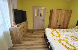 Proprietate cu 2 case, una fiind tradițională, Dezmir 