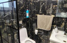 Proprietate cu 2 case, una fiind tradițională, Dezmir 