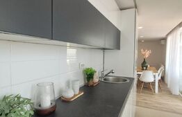 Penthouse de 230 mp, pe 2 nivele in Buna Ziua - Panoramă Superbă!