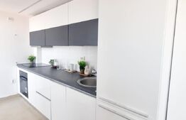 Penthouse de 230 mp, pe 2 nivele in Buna Ziua - Panoramă Superbă!