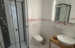 Penthouse de 230 mp, pe 2 nivele in Buna Ziua - Panoramă Superbă!