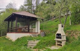 OPORTUNITATE | Casa + teren separat | Drumul Poienii 