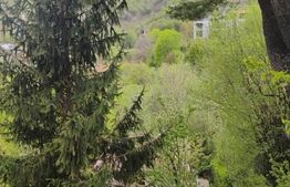 OPORTUNITATE | Casa + teren separat | Drumul Poienii 