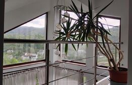 OPORTUNITATE | Casa + teren separat | Drumul Poienii 